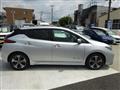 2019 Nissan Leaf