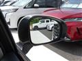2019 Toyota PRIUS α