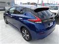 2020 Nissan Leaf