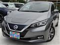 2019 Nissan Leaf