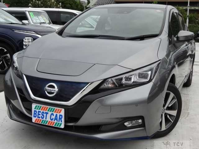 2019 Nissan Leaf