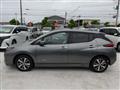 2019 Nissan Leaf