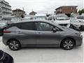 2019 Nissan Leaf