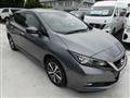 2019 Nissan Leaf