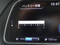 2019 Nissan Leaf