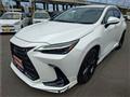 2023 Lexus Other