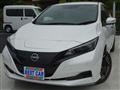 2023 Nissan Leaf