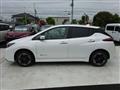 2023 Nissan Leaf