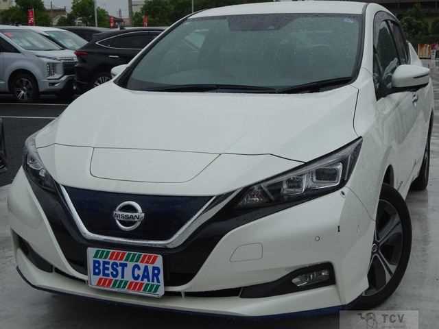 2019 Nissan Leaf