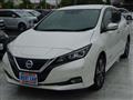 2019 Nissan Leaf