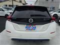 2019 Nissan Leaf