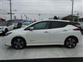 2019 Nissan Leaf