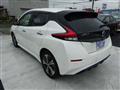 2019 Nissan Leaf
