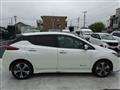 2019 Nissan Leaf