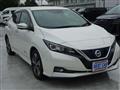2019 Nissan Leaf