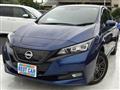 2021 Nissan Leaf
