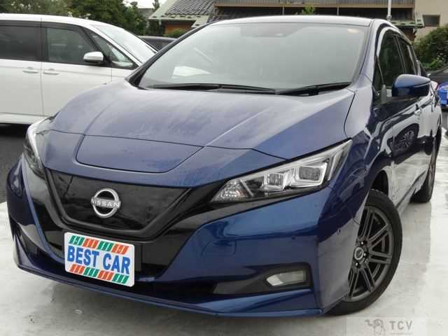 2021 Nissan Leaf