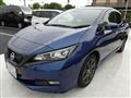 2021 Nissan Leaf