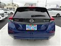 2021 Nissan Leaf