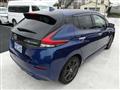 2021 Nissan Leaf