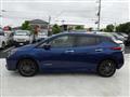 2021 Nissan Leaf