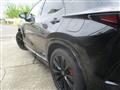 2025 Lexus Other
