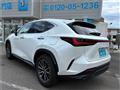 2024 Lexus Other