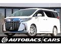 2019 Toyota Alphard G