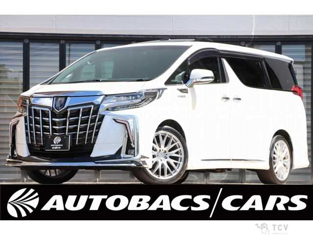 2019 Toyota Alphard G