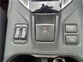 2019 Subaru Subaru Others