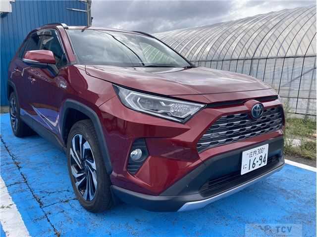 2019 Toyota RAV4