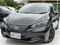 2022 Nissan Leaf