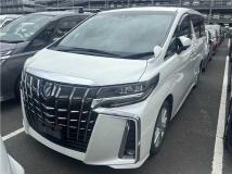 2019 Toyota Alphard G