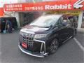 2018 Toyota Alphard G