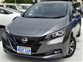2021 Nissan Leaf