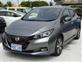 2021 Nissan Leaf