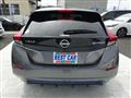 2021 Nissan Leaf