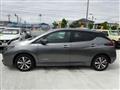 2021 Nissan Leaf