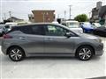 2021 Nissan Leaf