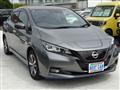 2021 Nissan Leaf
