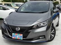 2021 Nissan Leaf