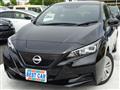 2022 Nissan Leaf