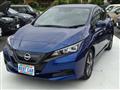 2022 Nissan Leaf