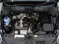 2013 Volkswagen Volkswagen Others