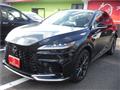 2025 Lexus RX