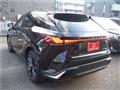 2025 Lexus RX