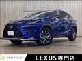 2019 Lexus Other
