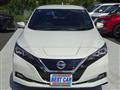 2019 Nissan Leaf