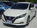 2019 Nissan Leaf