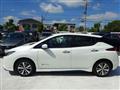 2019 Nissan Leaf